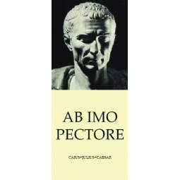 Magn.boksticka/Ab imo pectore